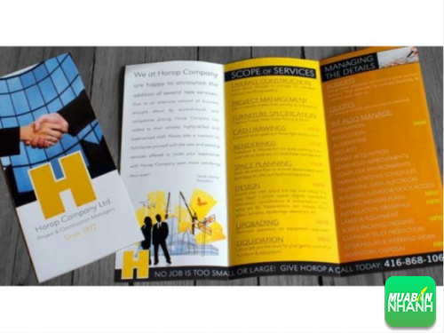 Brochure gấp 3 hiện đại và tiện lợi khi sử dụng