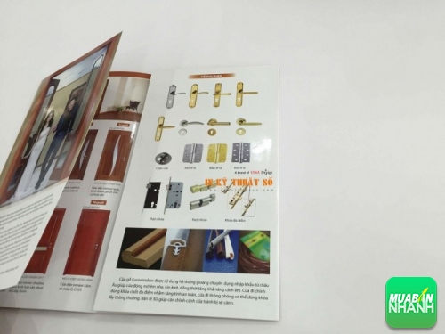 Thiết kế và in brochure gấp tại In Ấn Brochure