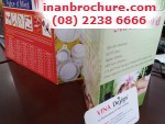 Thiết kế in brochure chuẩn quảng cáo với dịch vụ thiết kế từ Công ty In Kỹ Thuật Số - Digital Printing