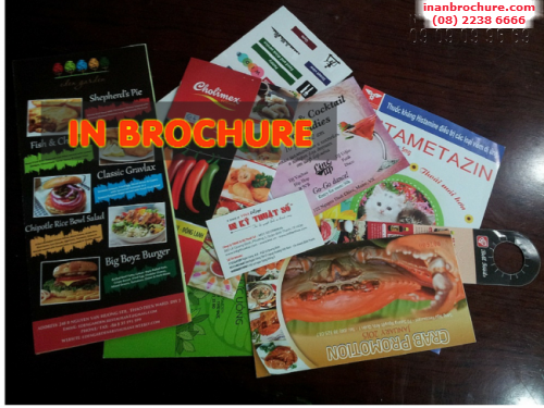 In brochure TPHCM, in brochure rẻ đẹp với công nghệ in offset giá rẻ, 83, Bích Vân, InAnBrochure.com, 21/10/2015 22:16:43