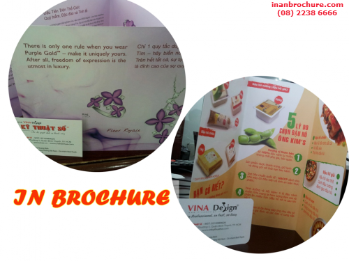 In brochure TPHCM, xưởng in brochure giá rẻ, in offset số lượng lớn với In Kỹ Thuật Số, 81, Minh Tâm, InAnBrochure.com, 21/10/2015 22:14:03